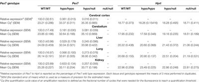 A Pex7 Deficient Mouse Series Correlates Biochemical and Neurobehavioral Markers to Genotype Severity—Implications for the Disease Spectrum of Rhizomelic Chondrodysplasia Punctata Type 1